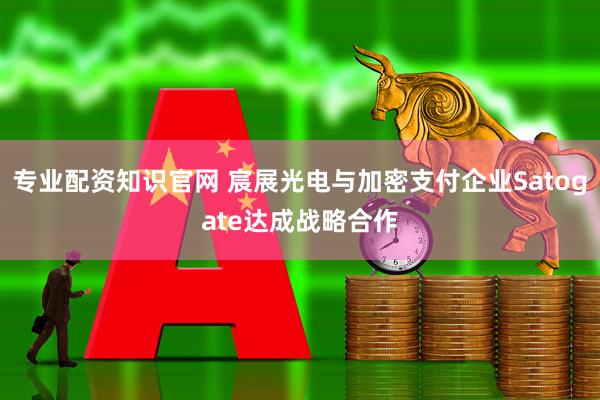 专业配资知识官网 宸展光电与加密支付企业Satogate达成战略合作
