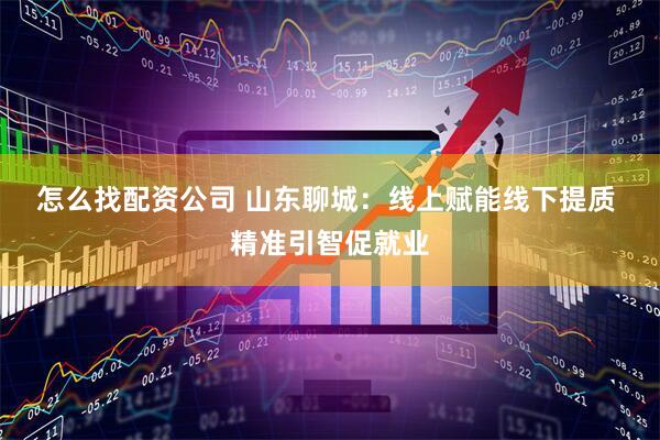 怎么找配资公司 山东聊城：线上赋能线下提质 精准引智促就业