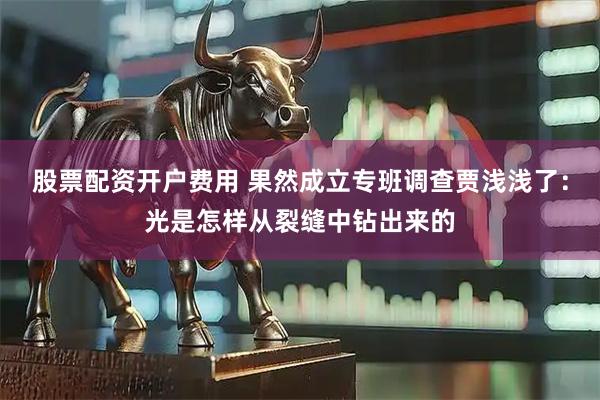 股票配资开户费用 果然成立专班调查贾浅浅了：光是怎样从裂缝中钻出来的